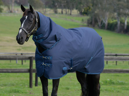 shop the new comfitec basi detach a neck turnout rug for horses