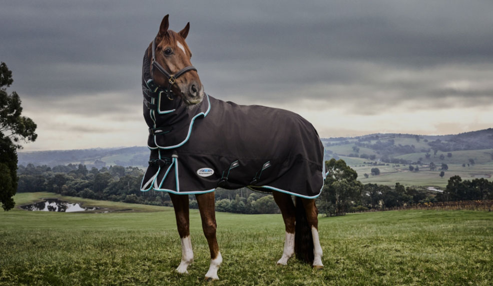 shop weatherbeeta horse turnout rugs
