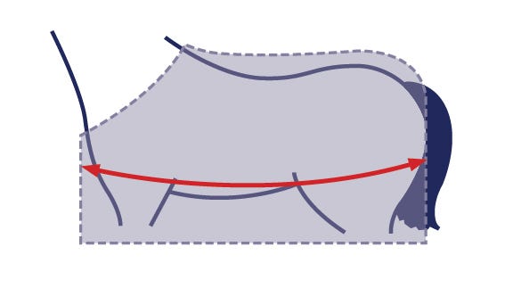Measuring Your Horse For A Rug