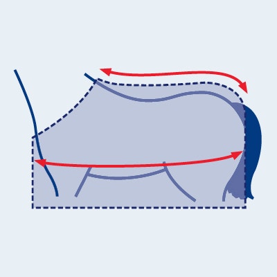 Horse Rug Size Chart Guide