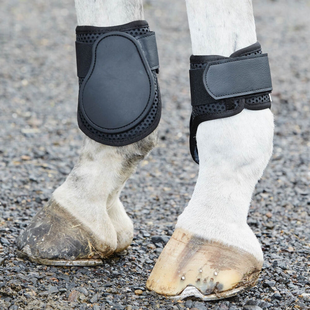 Back boots for horses hotsell