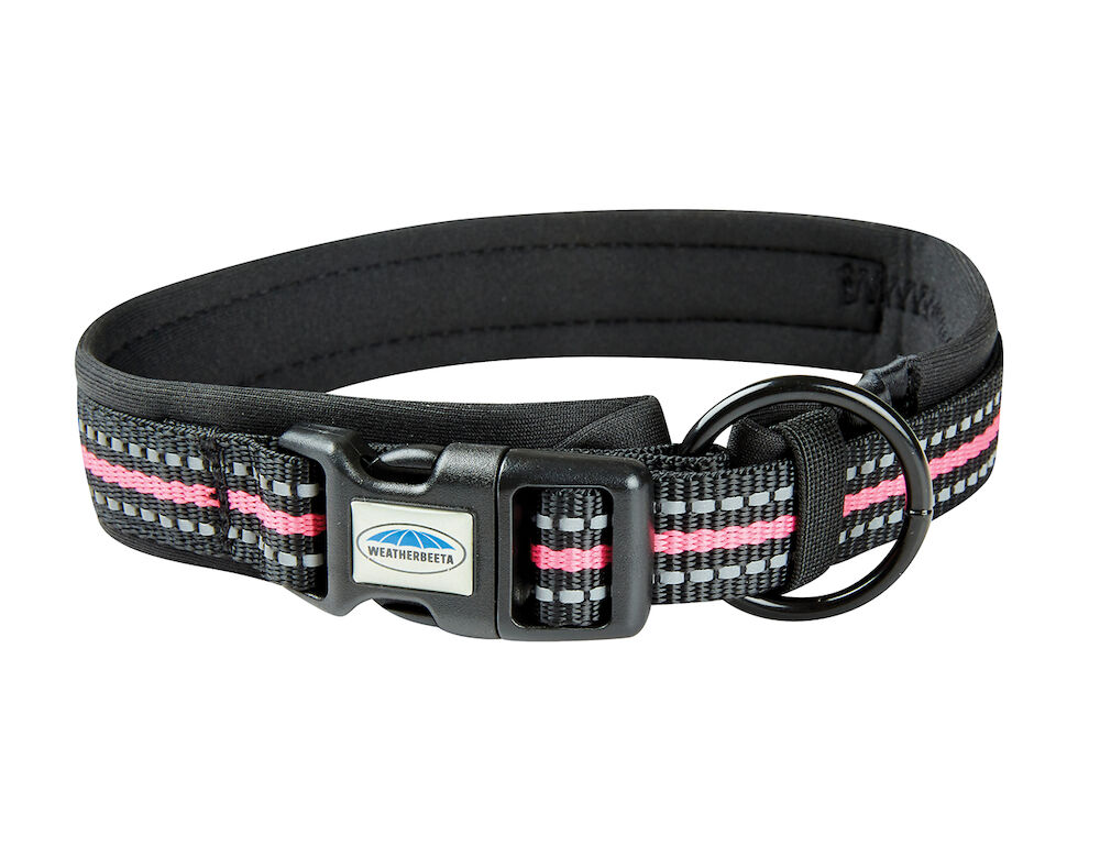Weatherbeeta dog collar top