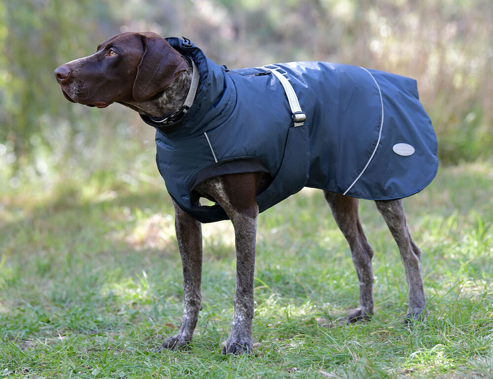 Medium dog jacket new arrivals