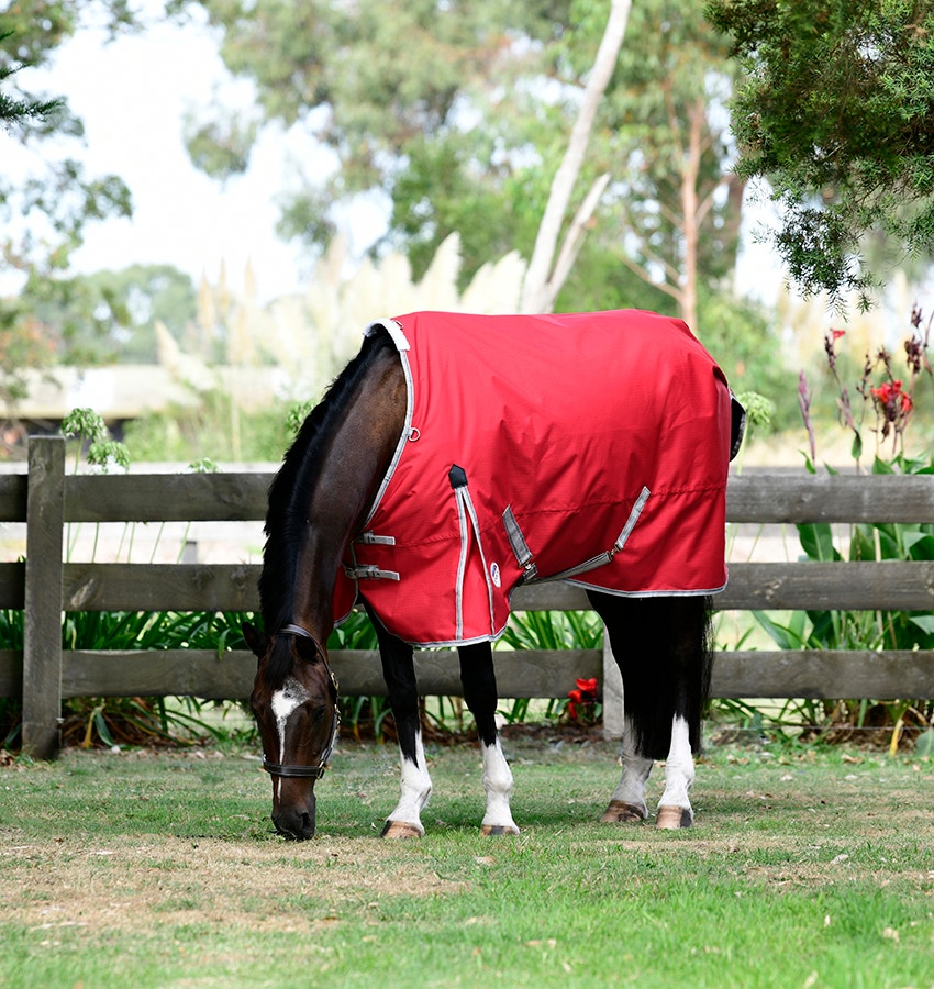horse outside grazing wearing red weatherbeeta turnout rug