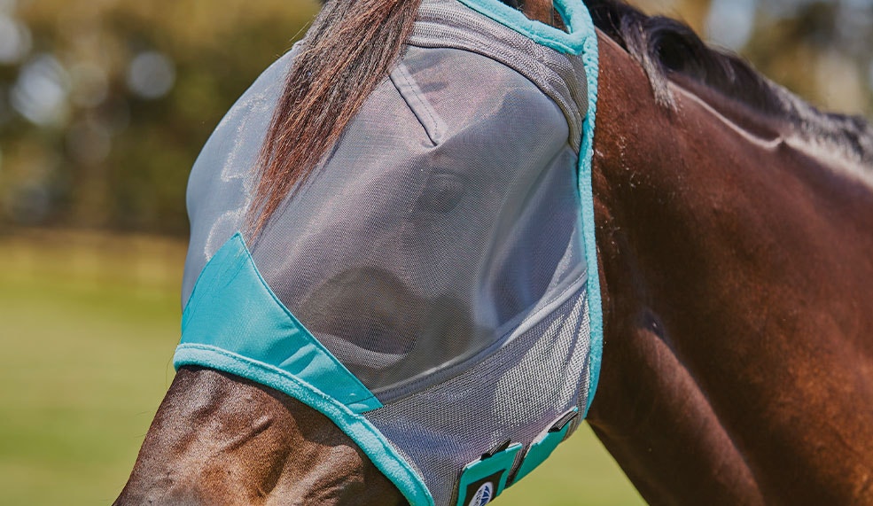 shop new weatherbeeta horse turnout rugs