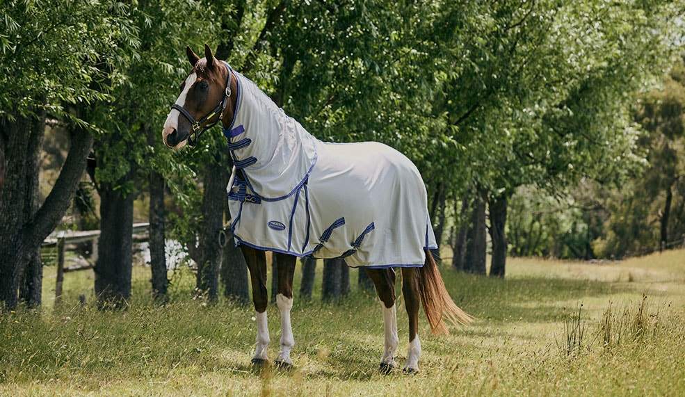 shop weatherbeeta FLY RUGS