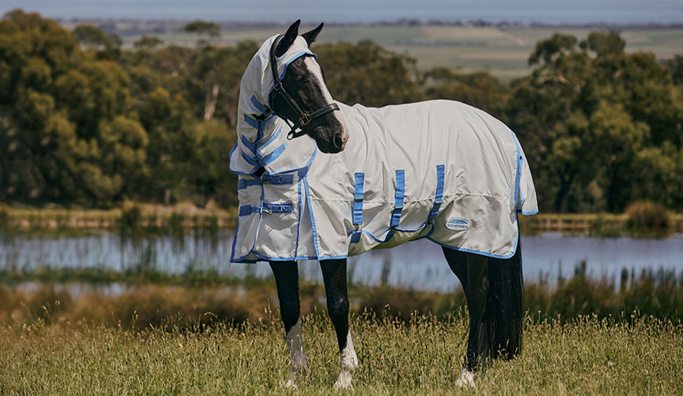 shop weatherbeeta FLY RUGS