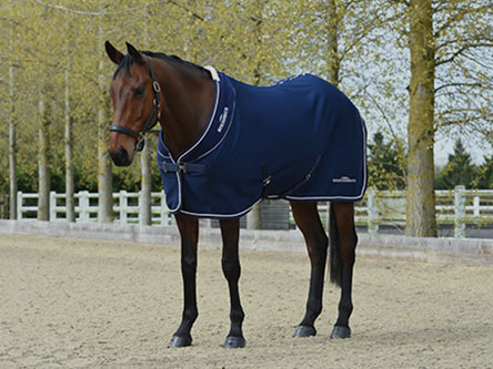 shop weatherbeeta HORSE COOLERS 