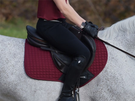 SHOP WEATHERBEETA SADDLE PADS FOR HORSES