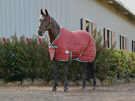 shop weatherbeeta STABLE RUGS