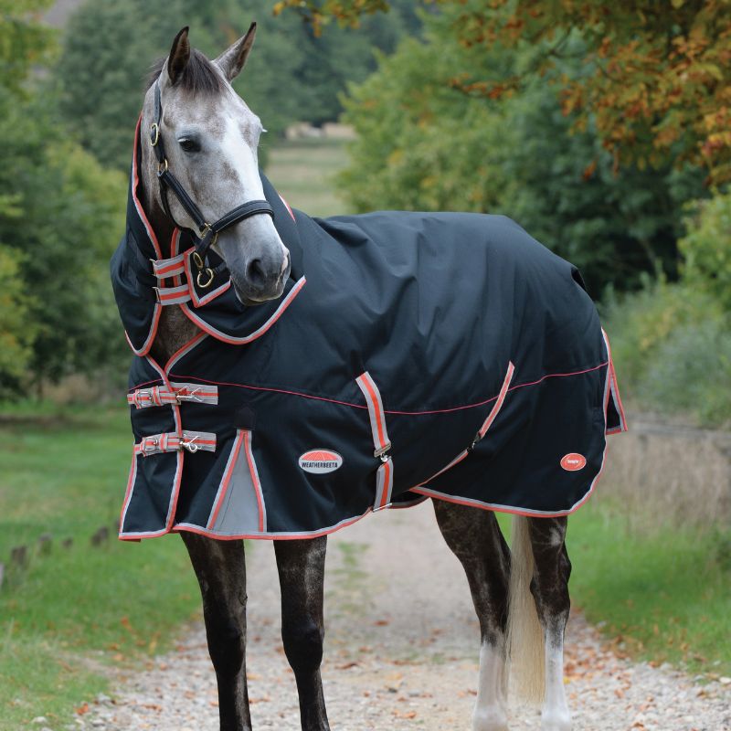 Grey horse wearing WeatherBeeta Therapy-Tec rug