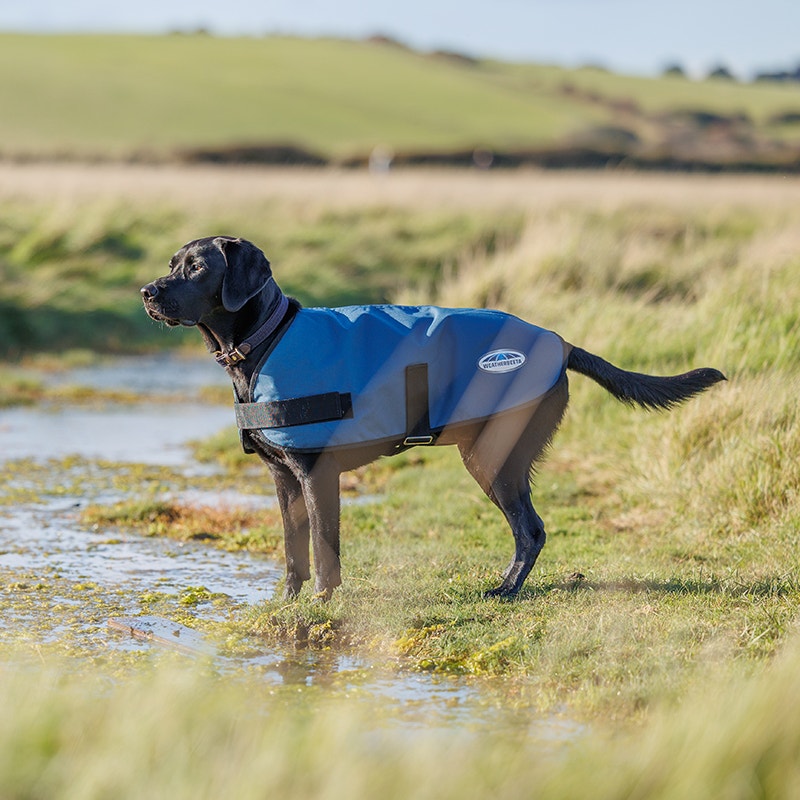 WeatherBeeta ComFiTec Classic Dog Coat