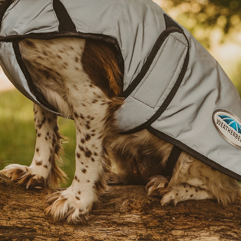 WeatherBeeta ComFiTec Reflective dog coat